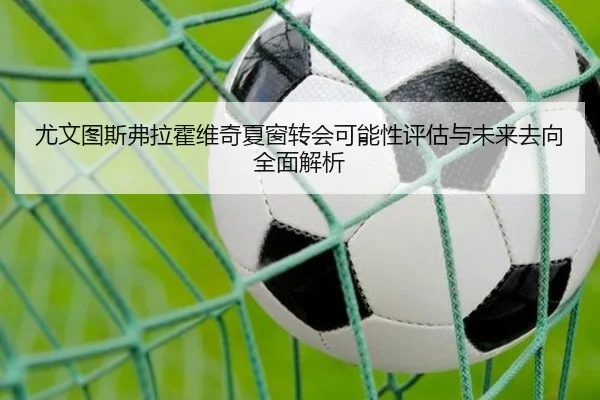 尤文图斯弗拉霍维奇夏窗转会可能性评估与未来去向全面解析