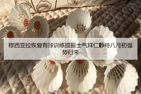 穆西亚拉恢复有球训练提振士气拜仁静待八月初强势归来