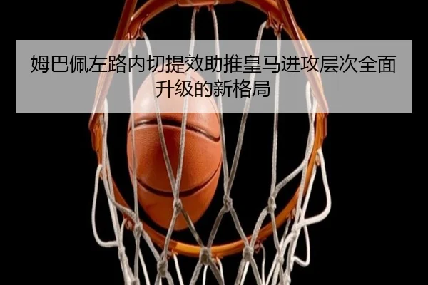 img_1783883967488_4738_1_482.jpg